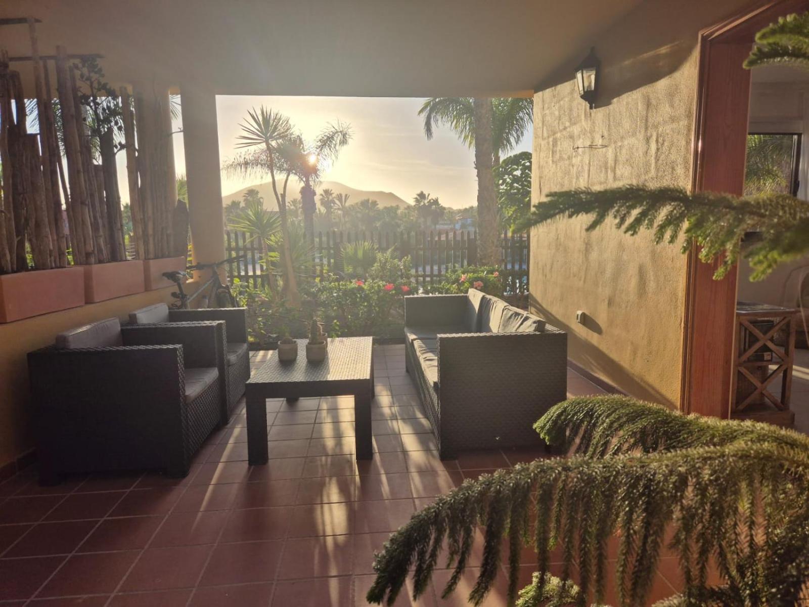 Oasis